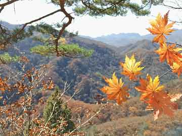 井冈山简短的心情感悟，井冈山的感受印象